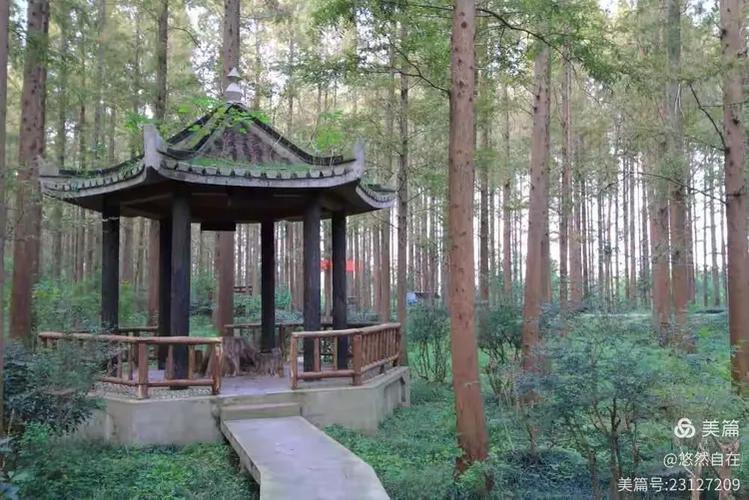 宝应湖国家湿地公园及纵棹园游记