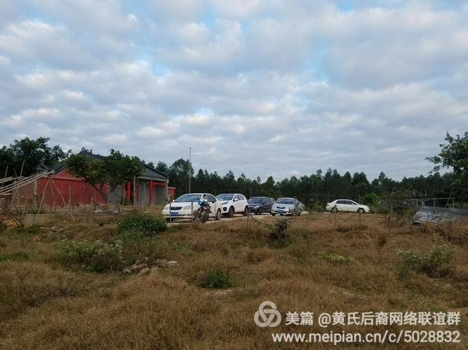 黄氏宗亲网络联谊 元旦节日野外的纵氏网络盛会